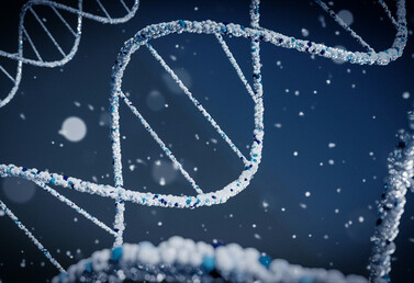 Обзор проектов REVERA в сфере Life Sciences и фармацевтики